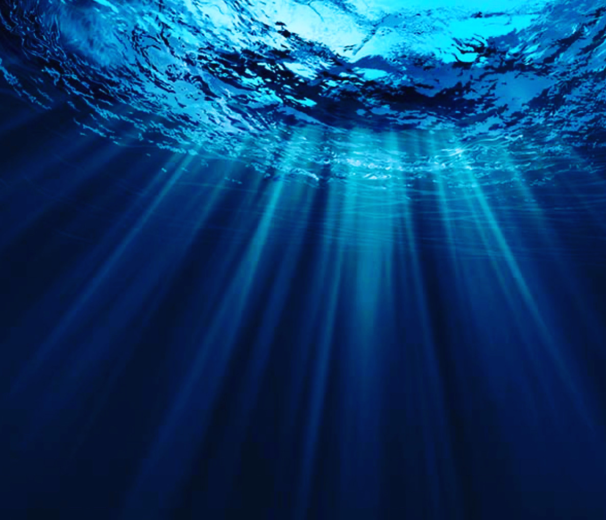 The Abyss elephant journal