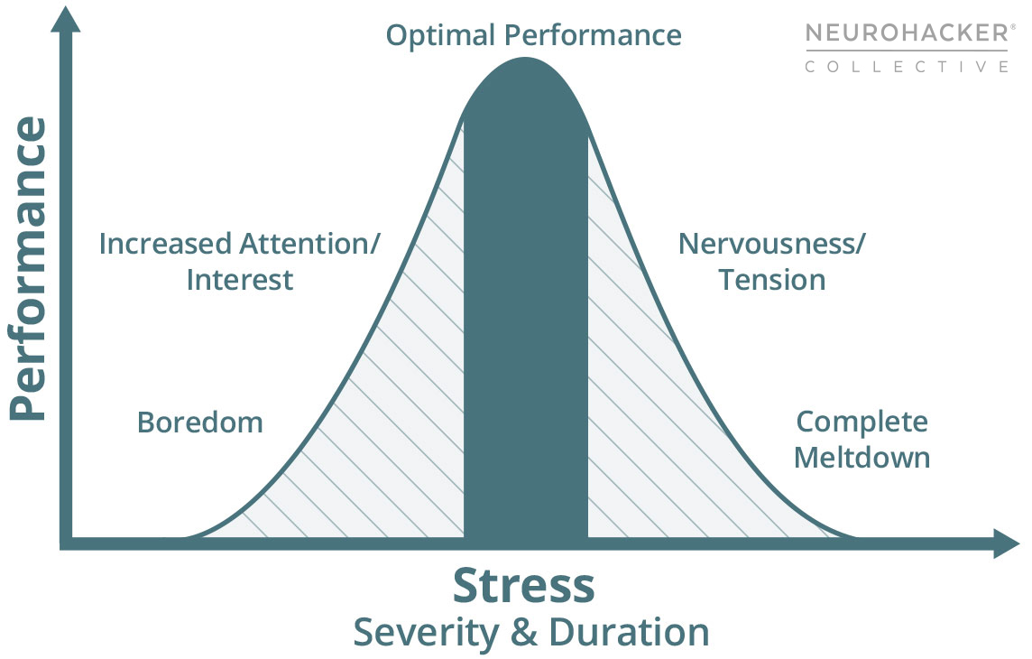 How Your Resilience is Like a Strong Rubber Band