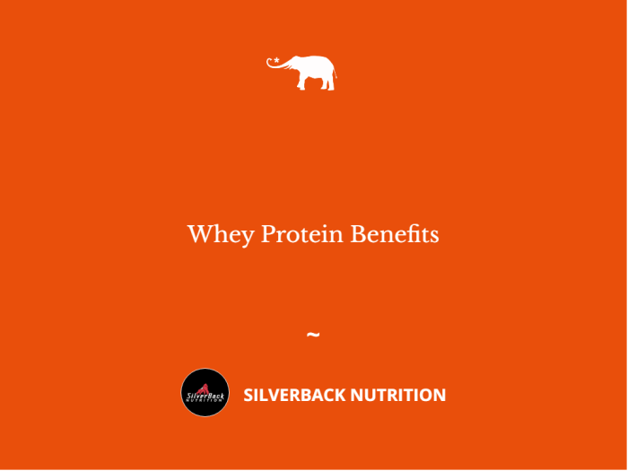 Whey Protein Benefits Elephant Journal 3952