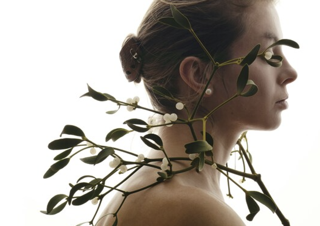 Qualia Life NAD+ Review