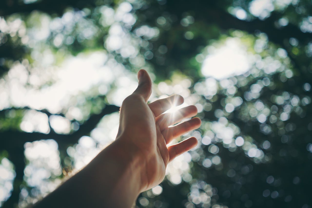 The Hidden Language of the Body: How to Listen to Your Electrical ...